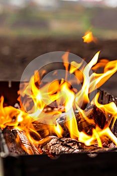 Burning logs, heat, fire, ashes. Autumn rural landscape, gloomy photo, macro photography. Autumn photo, light