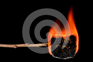 Burning marshmallow on a stick photo