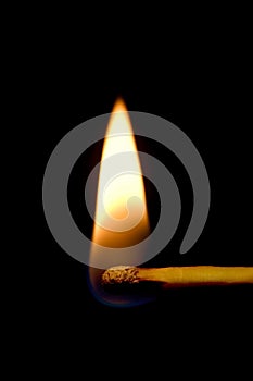 Burning Match Closeup Isolated On Black