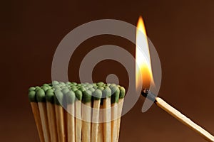 Burning match near unlit ones on background, closeup