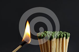 Burning match near unlit ones on background, closeup