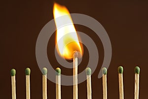 Burning match among unlit ones on background, closeup