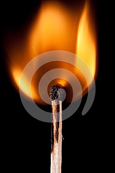 Burning matchstick