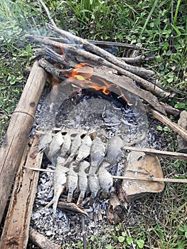 Burning of Mujair fish at Batu Bulan dam photo