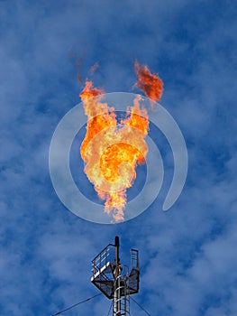 Burning oil gas flare