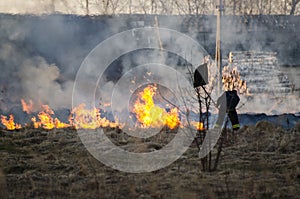 Burning old, dry grass field in the spring, Firefighters work