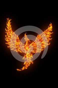 Burning phoenix isolated over black