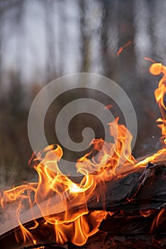 Fire flames, burning pile of cardboard and waste paper