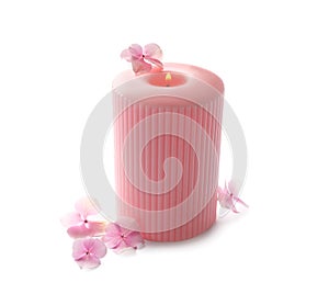 Burning pink wax candle and flowers isolated