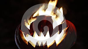 Burning pumpkin on Halloween. Looped