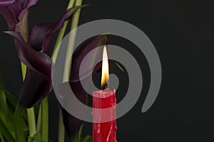 Burning red candle and flowering purple Calla lily