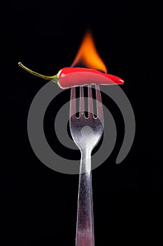 Burning red chili on black background