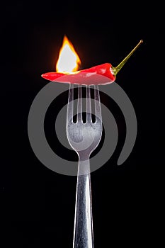 Burning red chili on black background