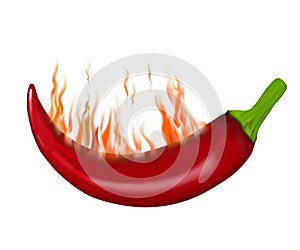 Burning red chili peppers on a black background