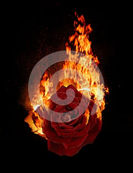 Burning red rose, dark atmospheric mood, fantasy background