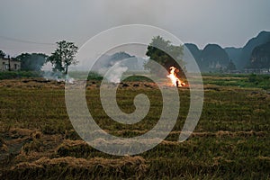 Burning of the rice field after harvest in front of karst mountains, Ninh Binh, Vietnam