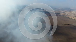 The burning of rice straw in the fields. Smoke from the burning of rice straw in checks. Fire on the field