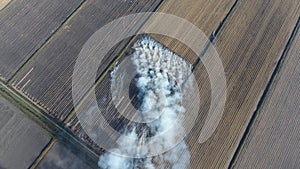 The burning of rice straw in the fields. Smoke from the burning of rice straw in checks. Fire on the field