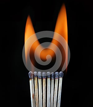 Burning row of matches