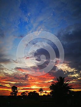 Burning sky view, sky burning, sunrise, sunset, background, red dawn and sillhoutte tree.