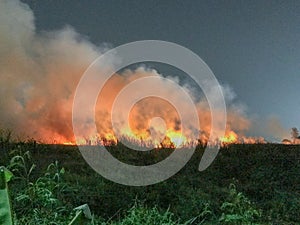 Burning of straw on the field