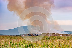 Burning straw in field