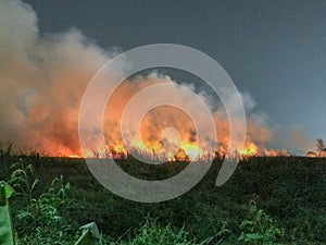 Burning of straw on the field photo
