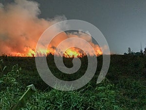 Burning of straw on the field