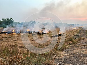 Burning of straw on the field