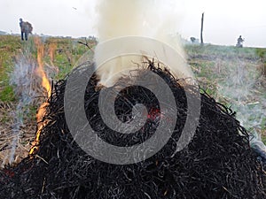 burning straw in the fields photo