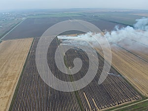 Burning straw in the fields after harvesting wheat