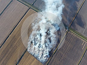 Burning straw in the fields after harvesting wheat