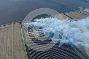 Burning straw in the fields after  wheat crop