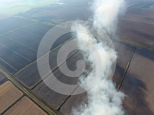 Burning straw in the fields after harvesting wheat