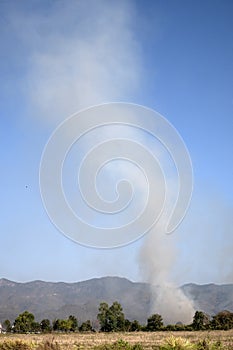 Burning straw after harvest in the rice field.