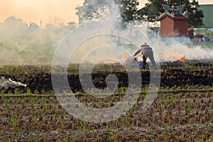 Burning straw and peasant woman