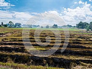 Burning straw in rice plantation one cause to global warming.