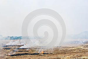 Burning straw in rice plantation in thailand