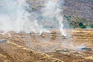 Burning straw in rice plantation in thailand