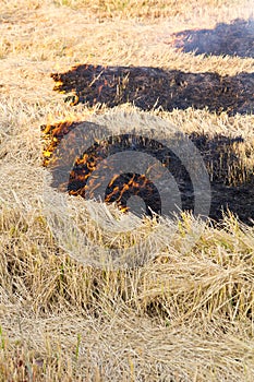 Burning straw