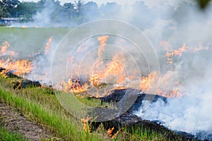 Burning straw stubble farmers when the harvest is complete.