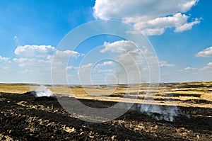 Burning stubble in the field