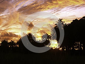 Burning Sunset photo
