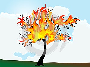 Burning tree