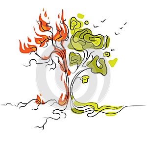 Burning tree and living green tree,global warming and drought,forest fires.Vector Save the environment