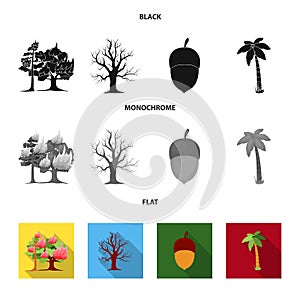 Burning tree, palm, acorn, dry tree.Forest set collection icons in black, flat, monochrome style vector symbol stock