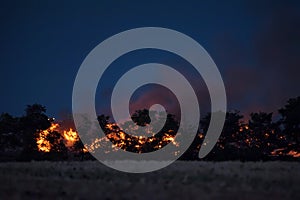 Forest fire at night