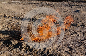 Burning tumbleweed at Aralcum desert as a bed of former Aral sea, Karakalpakstan, uzbekistan