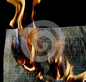 Burning U.S. Constitution photo