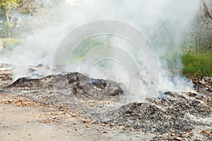 Burning waste pollution